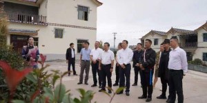以集体经济为转轴，实现德育村民喜分红