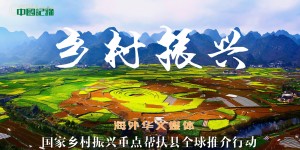 海外华文媒体国家乡村振兴重点帮扶县全球推介行动