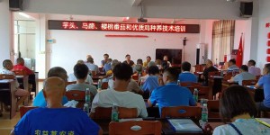 广东省农科院举办驻镇帮村种养技术培训