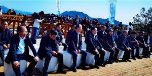 春风又绿天台山，邀你去浙江宁海桑洲镇品茶赏花