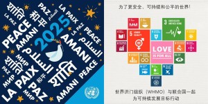 世界洪门组织2025年工作计划