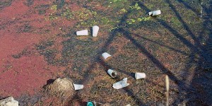 当代人的历史责任——化解人类生存危机的迫切呼唤