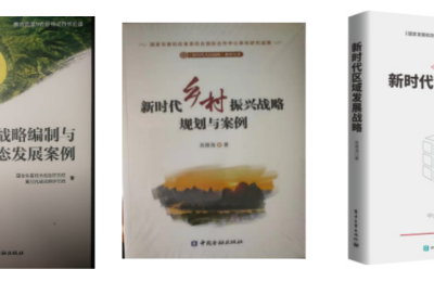罗文“院长的”“三库一论”与国合研究院的“345模型”