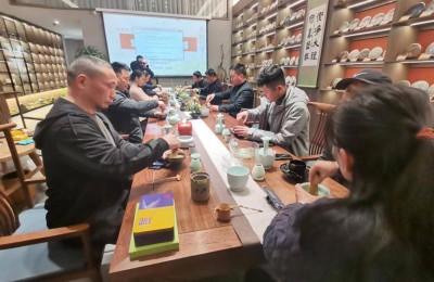 宋韵茶文化风靡宁波