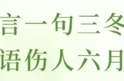 慎敲键盘,善润人心:在数字洪流中守护文明之光